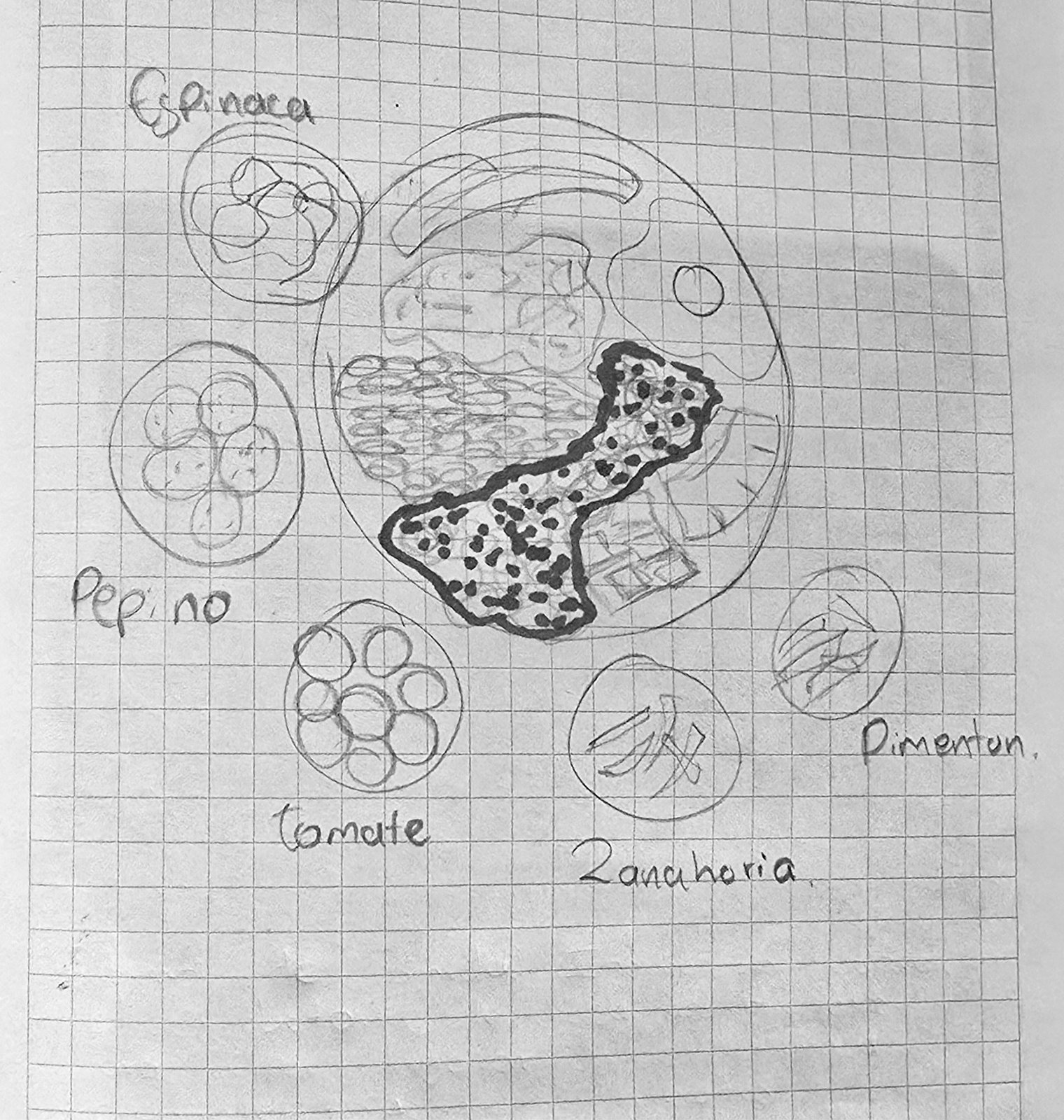 Boceto Preliminar a Lápiz